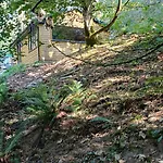 Stream-side And Sauna * Ballyduff