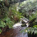 Alpesi faház Stream-side And Sauna Ballyduff