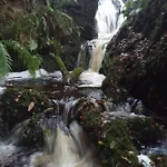 Stream-side And Sauna *
