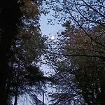 Шале Stream-side And Sauna Ballyduff (Waterford)