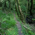 Stream-side And Sauna