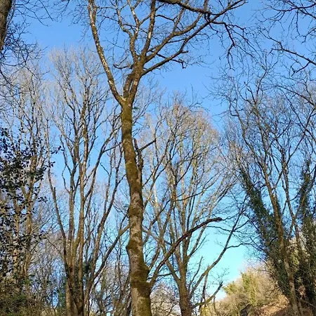 Stream-side And Sauna