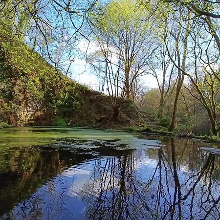 Stream-side And Sauna *