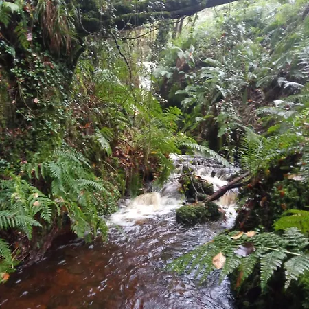 シャレー Stream-side And Sauna Ballyduff