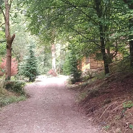 Stream-side And Sauna シャレー *