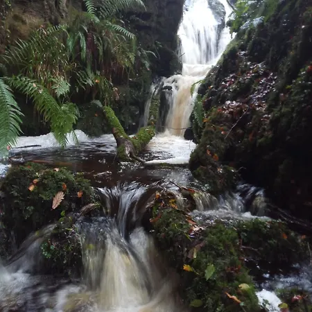 Stream-side And Sauna *