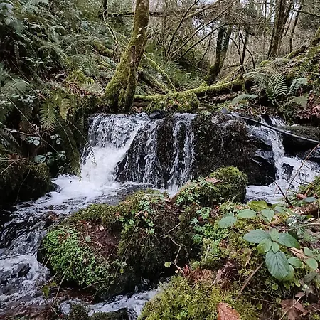 Stream-side With Private Sauna Option *