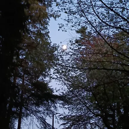 בקתה Stream-side With Private Sauna Option Ballyduff (Waterford)