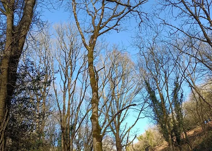 Stream-side And Sauna