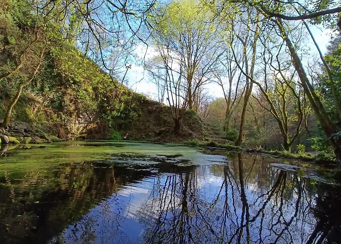 Stream-side And Sauna *