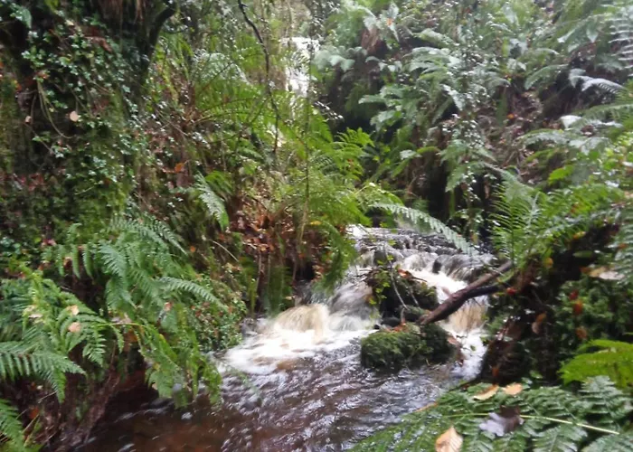 Chalet Stream-side And Sauna Ballyduff (Waterford)