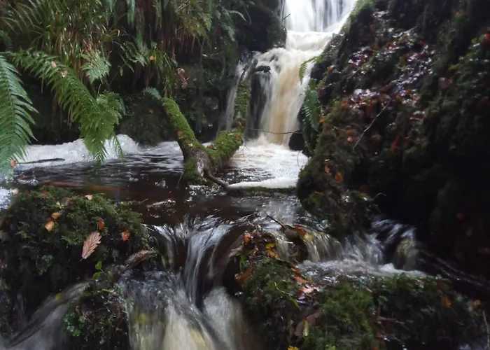 Stream-side And Sauna *