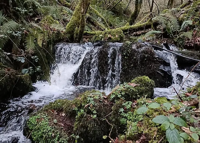 Stream-side And Sauna *