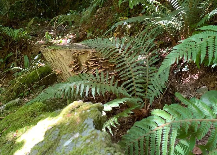Alpstuga Stream-side And Sauna *